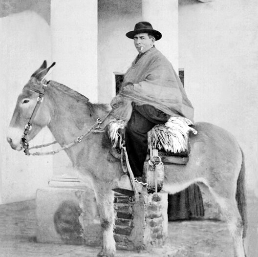 São José Gabriel Brochero